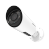 Цилиндрическая IP-камера MS-C2962-RFLPB с распознаванием автомобильных номеров, 2Мп, Milesight 