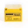 Аккумуляторная батарея YELLOW HR 12-26