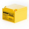 Аккумуляторная батарея YELLOW HR 12-26