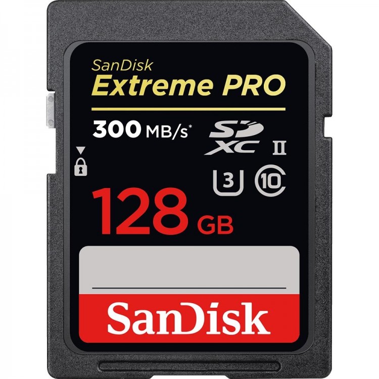 Карта памяти SDXC 128GB UHS-3 SDSDXPK-128G-GN4IN SANDISK